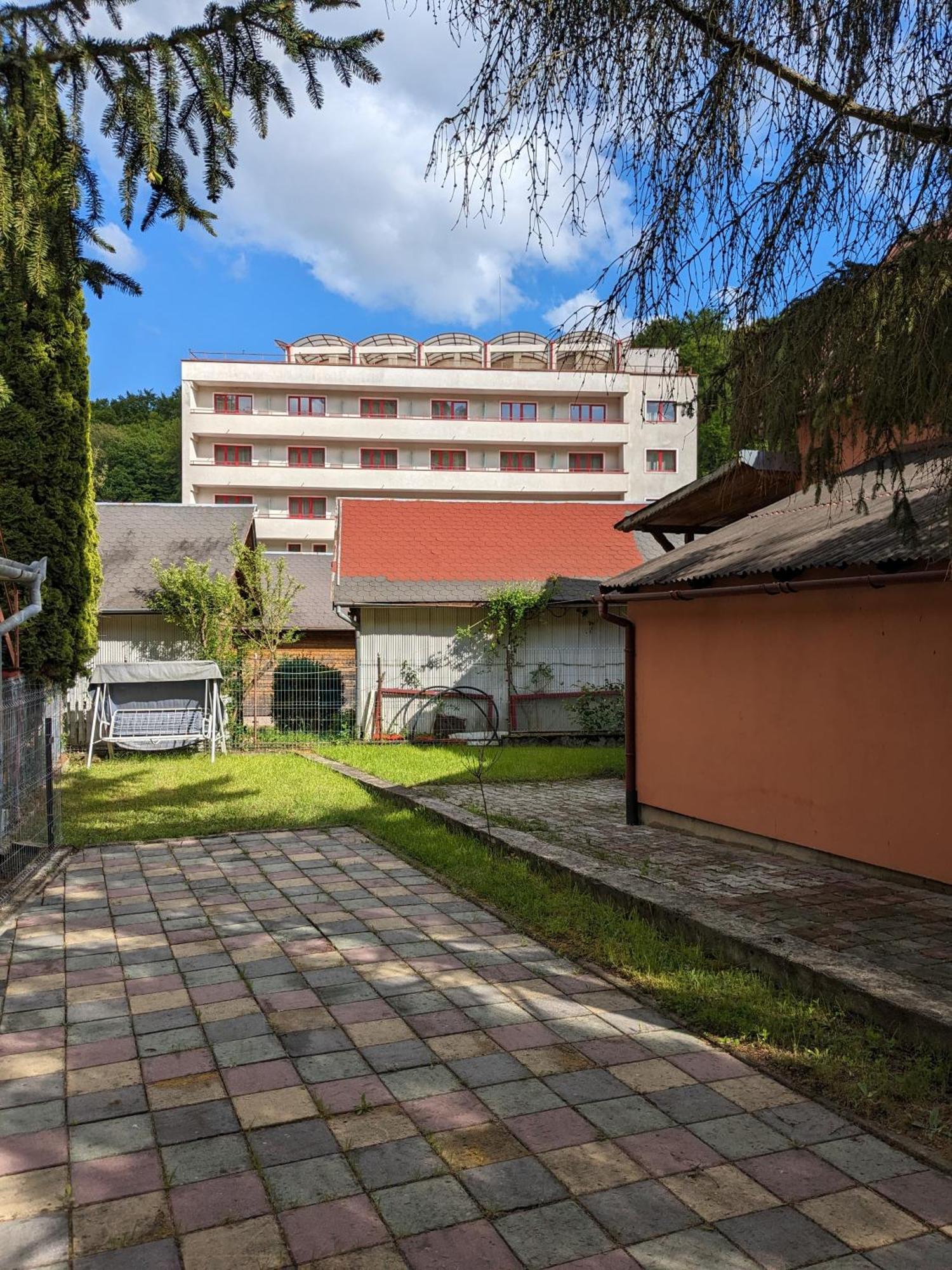 Villa Alyo Geoagiu Băi Exterior foto