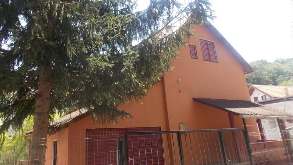 Villa Alyo Geoagiu Băi Exterior foto